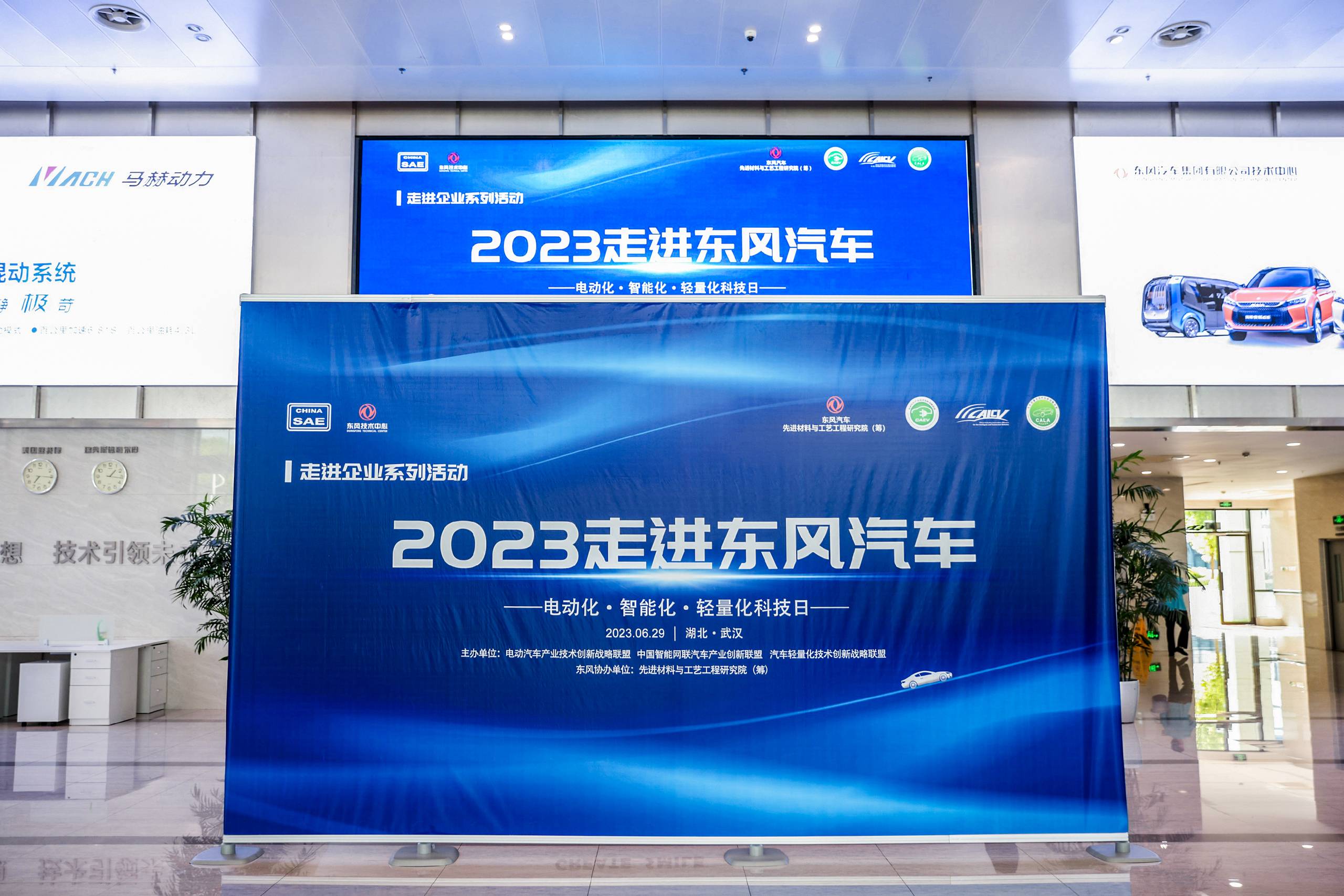 CNS_2546.JPG CNS_2546.JPG